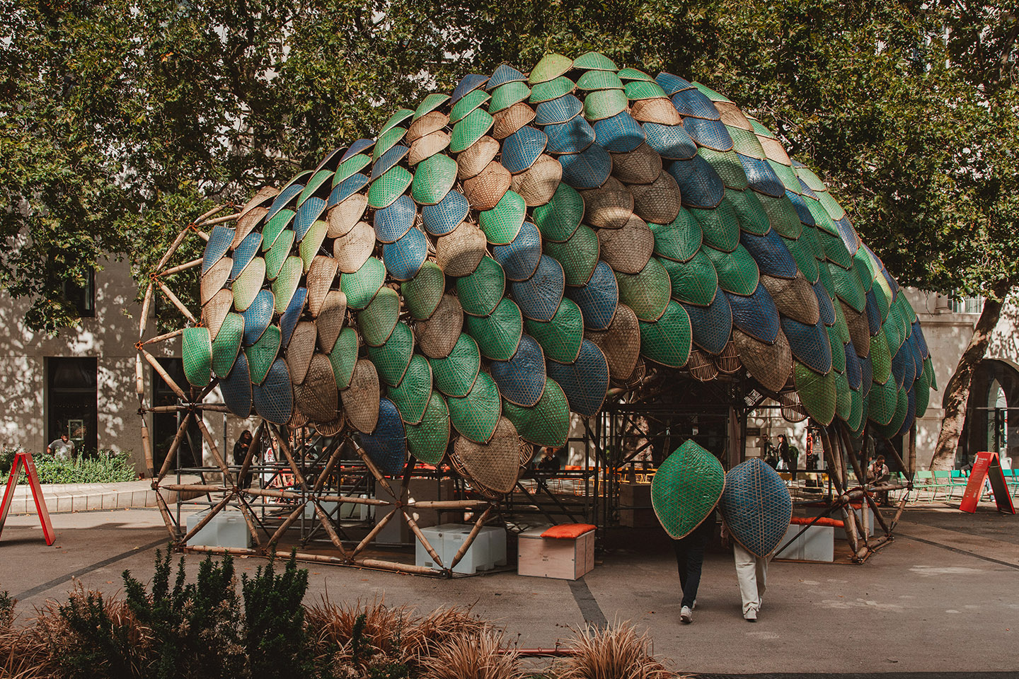 The Pangolin Shield